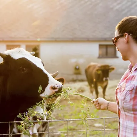 Hotel Aphrodite Zalakaros